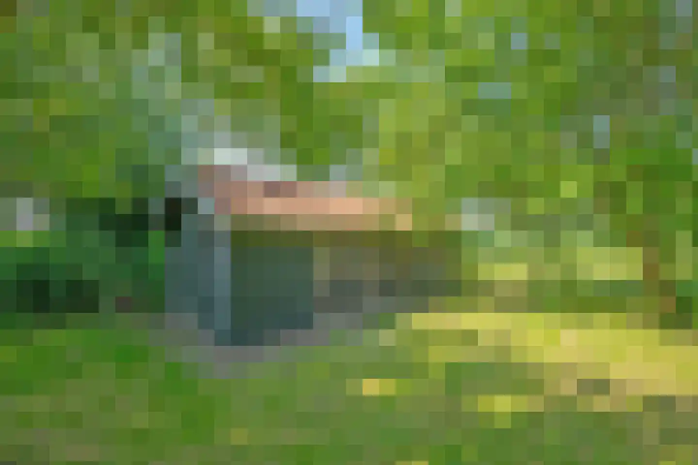 Ruigekade 1 Leiderdorp thumbnail 63