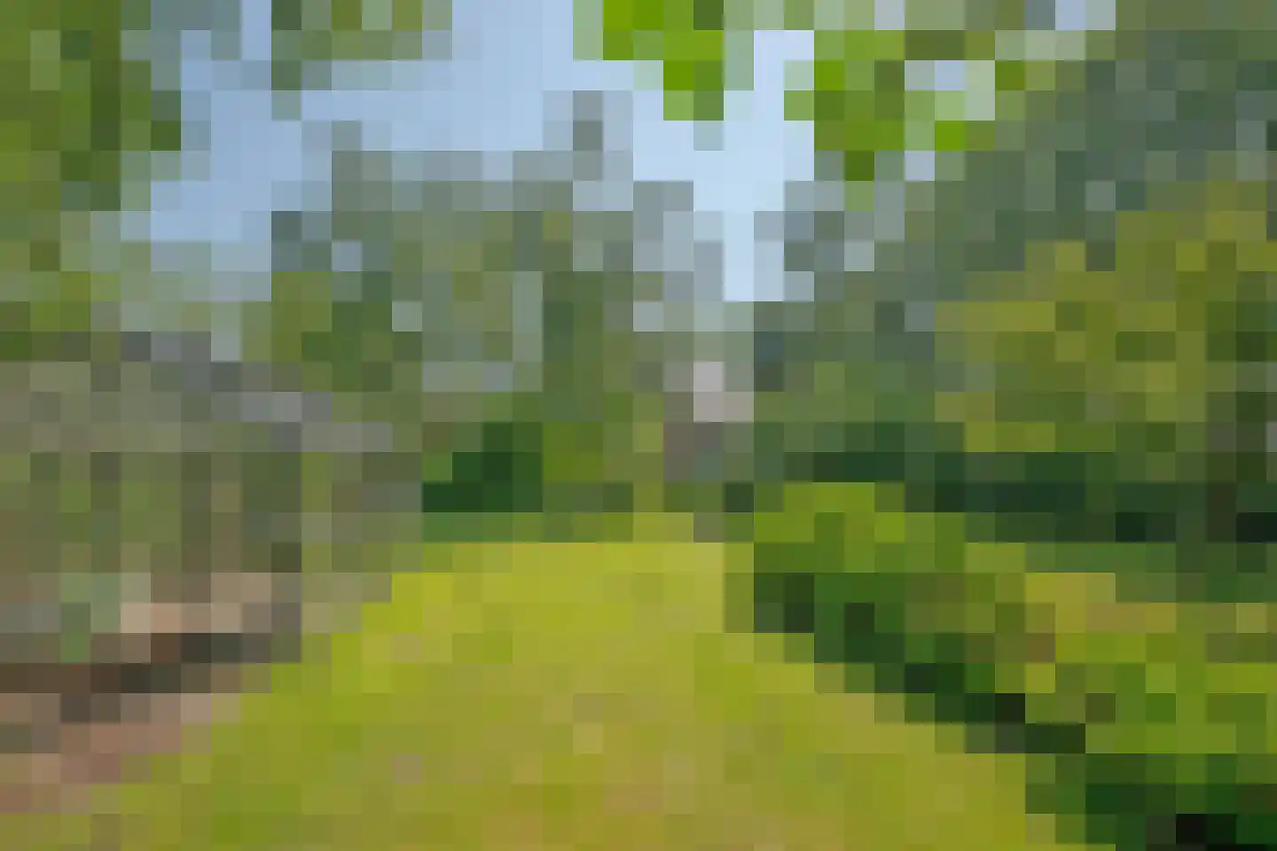 Ruigekade 1 Leiderdorp thumbnail 64