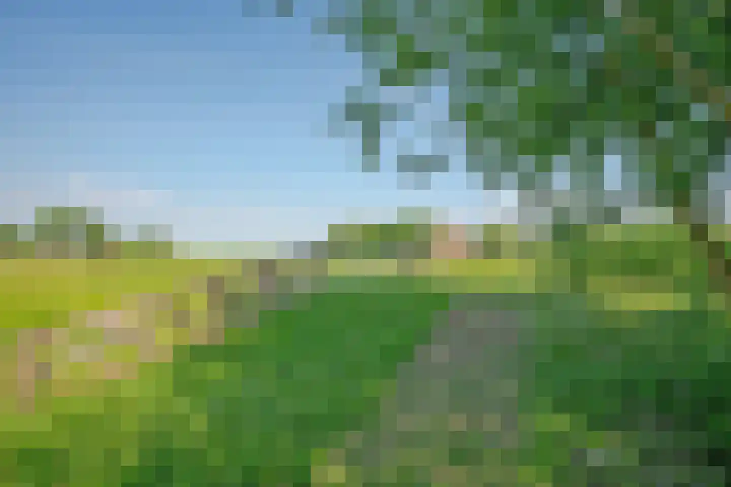 Ruigekade 1 Leiderdorp thumbnail 68