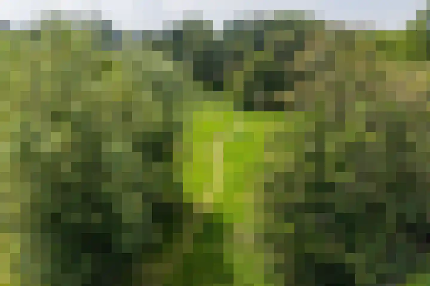Ruigekade 1 Leiderdorp thumbnail 69