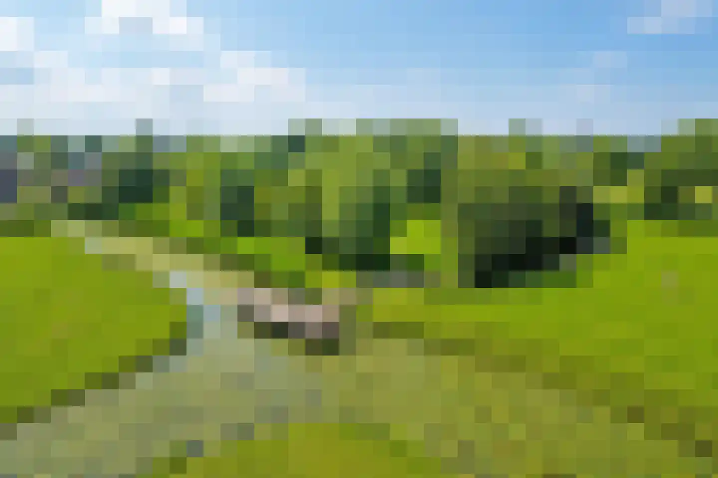 Ruigekade 1 Leiderdorp thumbnail 71