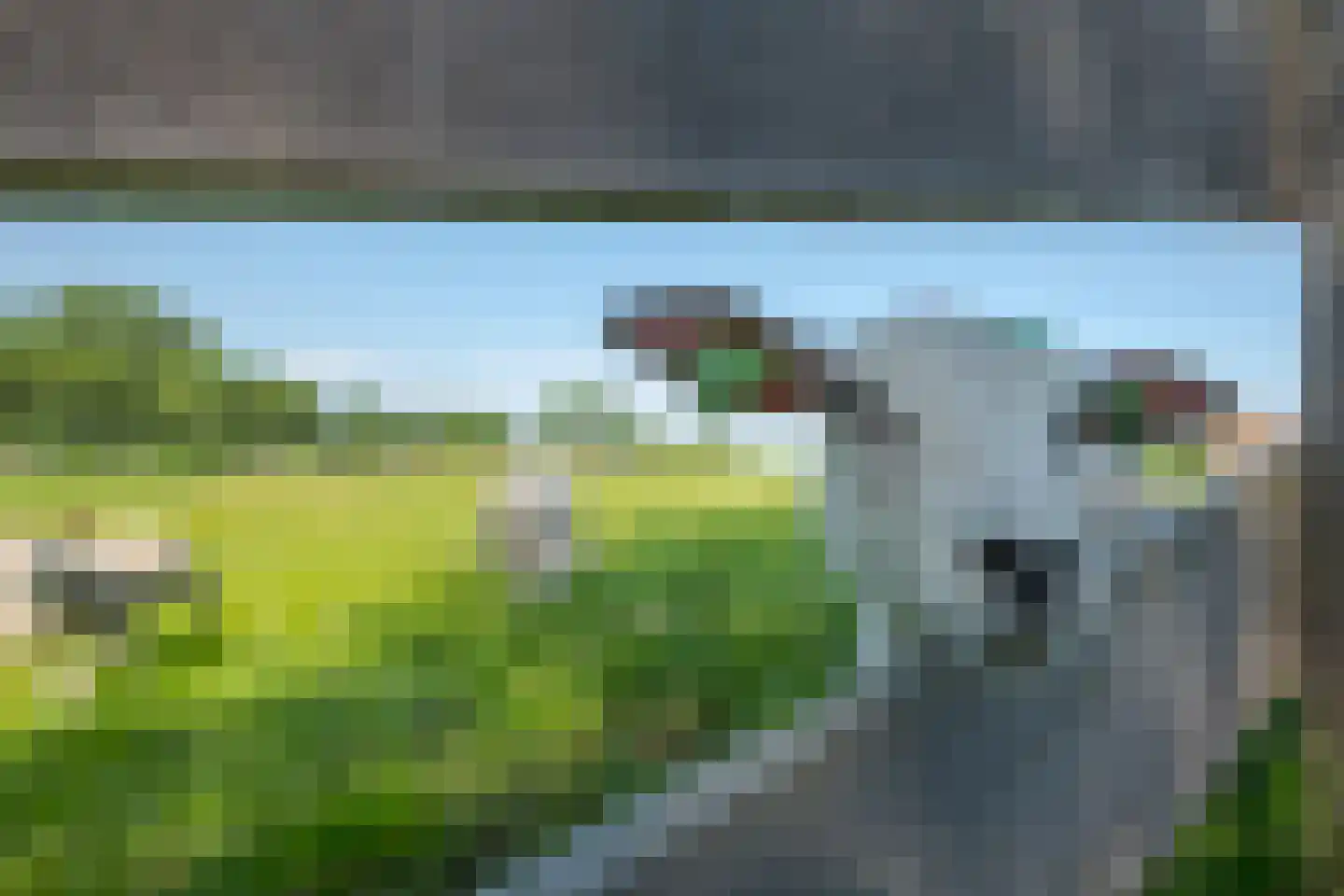 Ruigekade 1 Leiderdorp thumbnail 74
