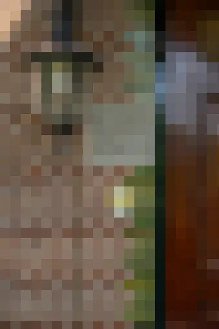 Ruigekade 1 Leiderdorp thumbnail 9