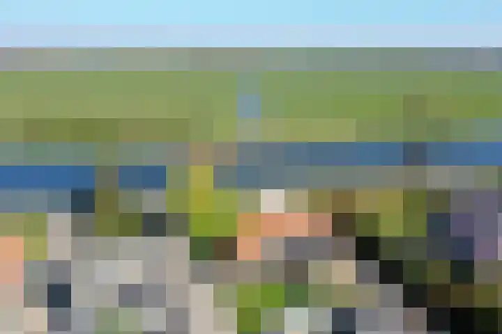 Ruigekade 19 Vrouwenakker thumbnail 14