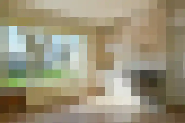 Ruigekade 19 Vrouwenakker thumbnail 18