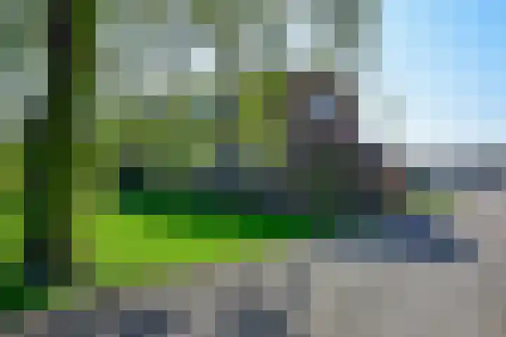 Ruigekade 19 Vrouwenakker thumbnail 28