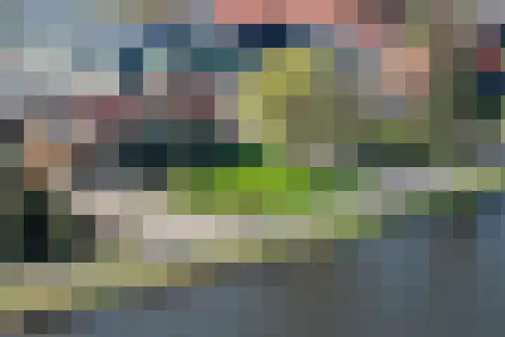Ruigekade 19 Vrouwenakker thumbnail 9