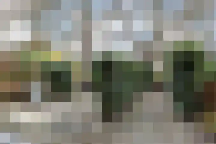 Ruigenburg 219 Gouda thumbnail 32