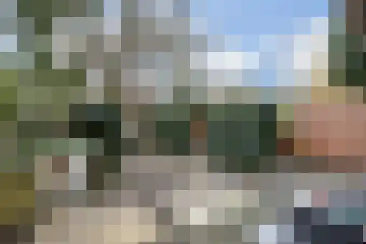 Ruigenburg 219 Gouda thumbnail 33