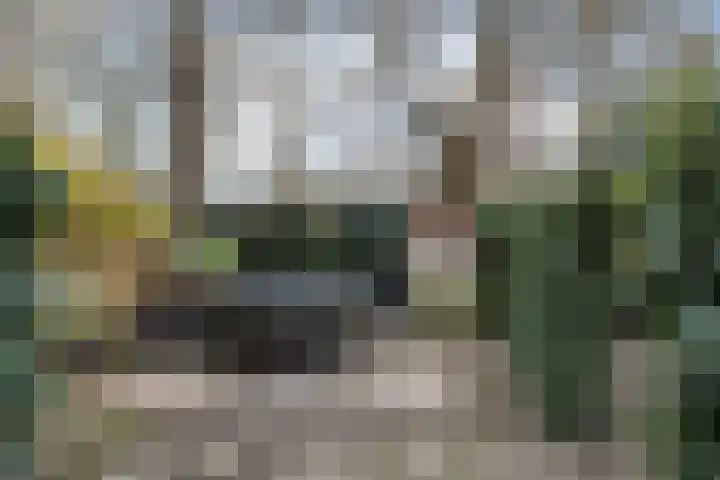 Ruigenburg 219 Gouda thumbnail 34