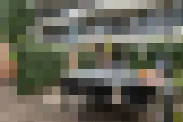 Ruigenburg 219 Gouda thumbnail 36