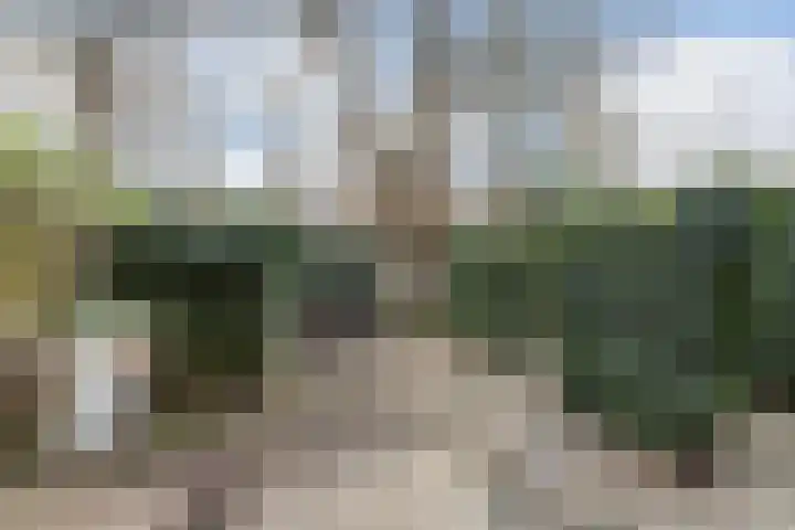 Ruigenburg 219 Gouda thumbnail 4