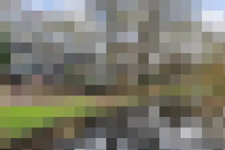 Ruigenburg 219 Gouda thumbnail 6