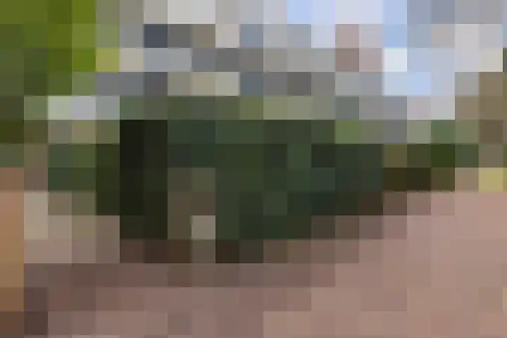 Ruigenburg 219 Gouda thumbnail 7