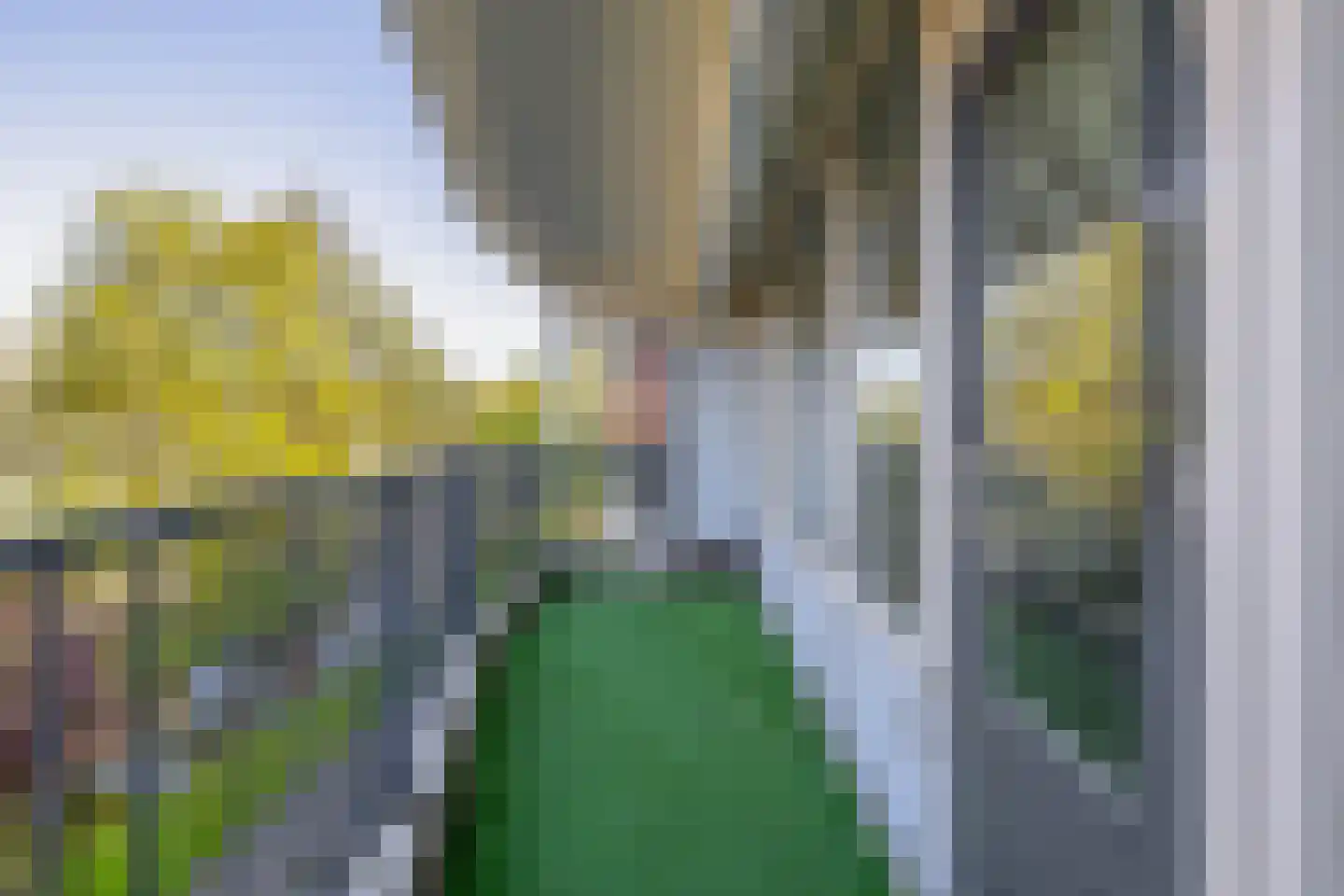 Ruigenburg 31 Gouda thumbnail 23
