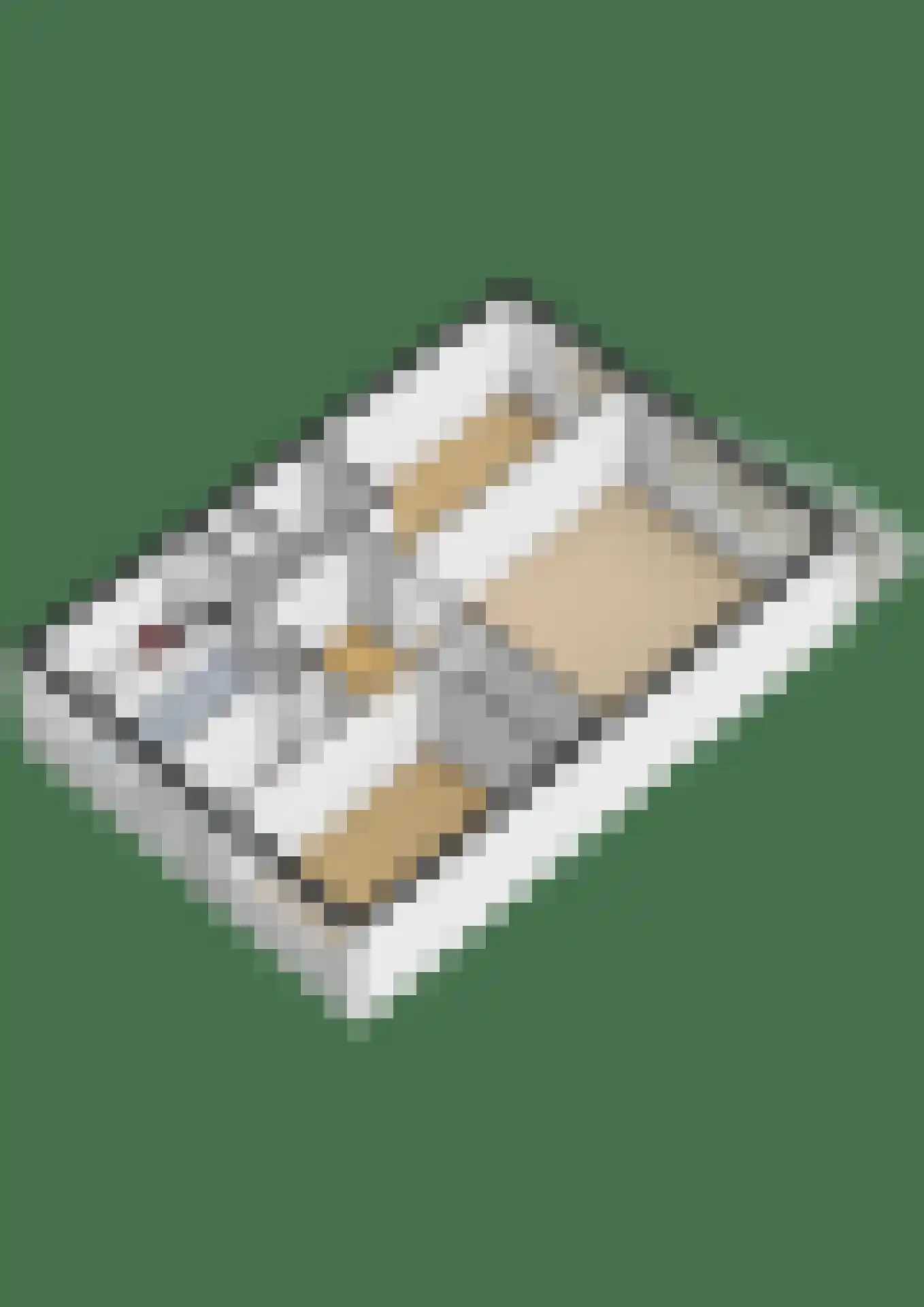 Ruigenburg 31 Gouda thumbnail 39