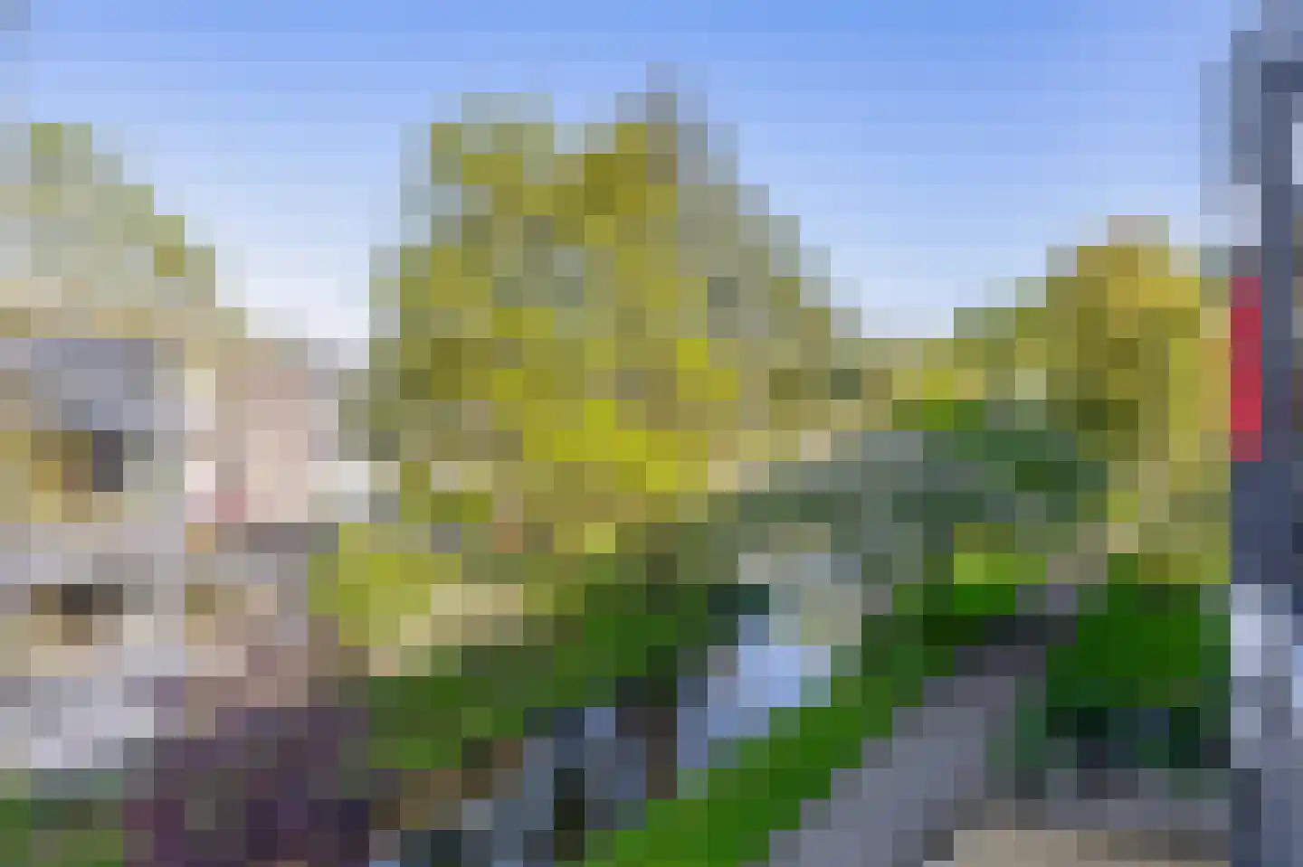 Ruigenburg 31 Gouda thumbnail 4