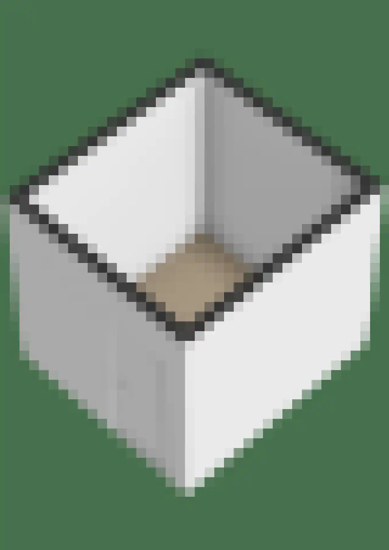 Ruigenburg 31 Gouda thumbnail 41
