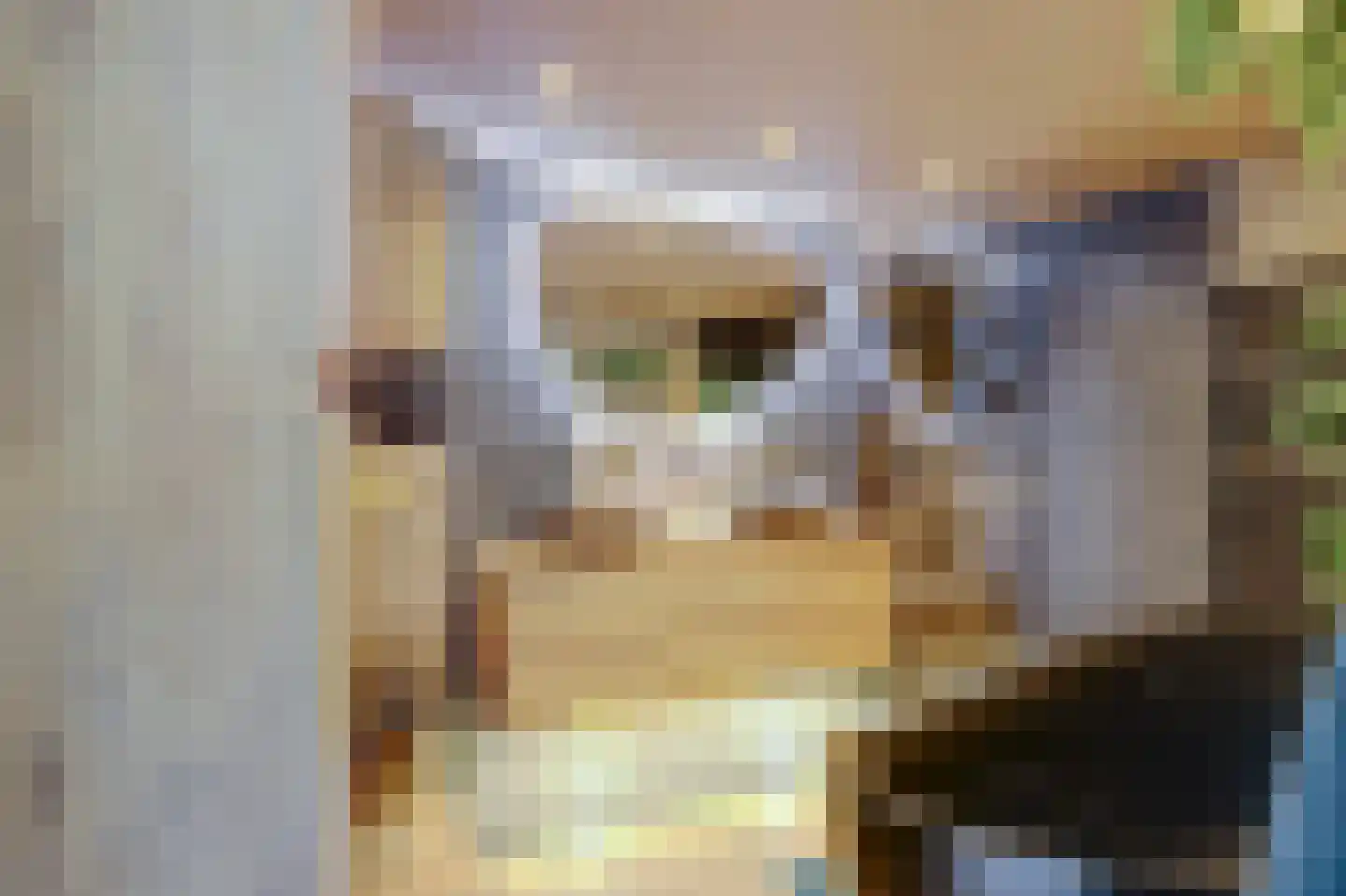 Ruigenburg 74 Gouda thumbnail 4