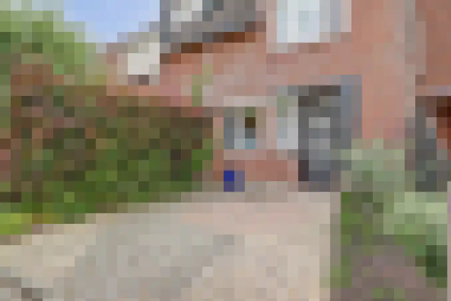 Ruigenburg 74 Gouda thumbnail 40