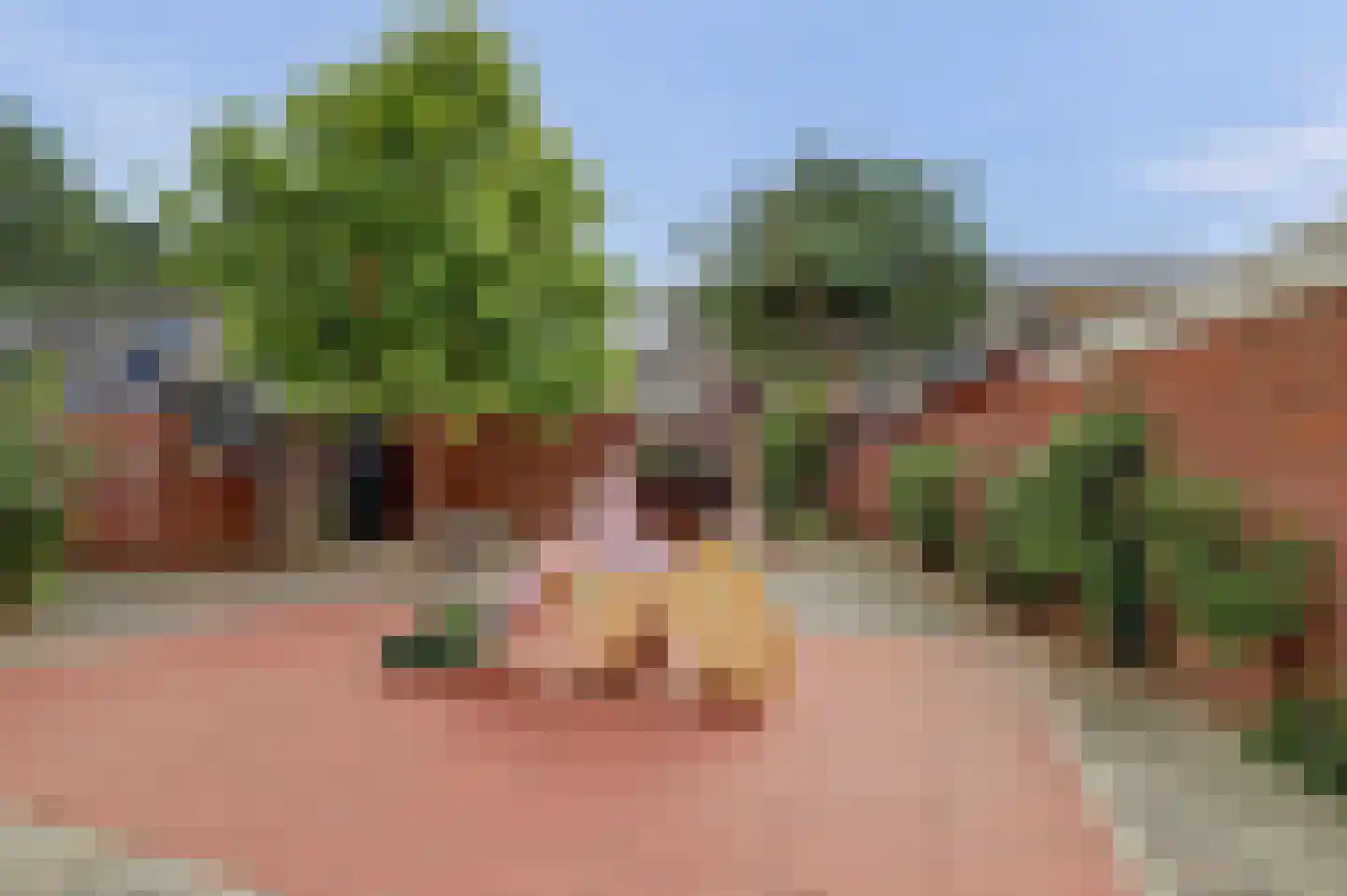 Ruigenburg 74 Gouda thumbnail 42