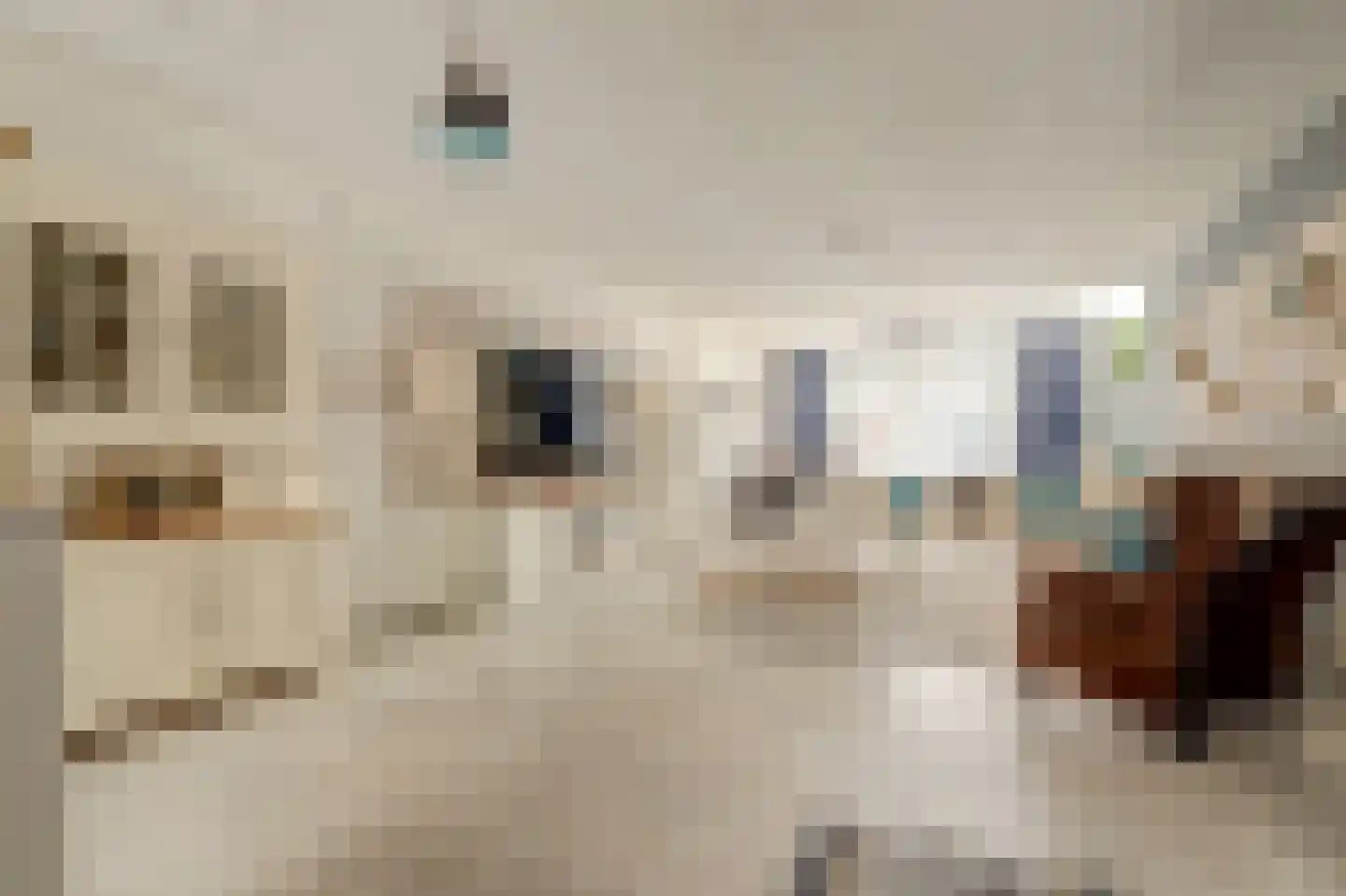 Ruigenburg 74 Gouda thumbnail 8