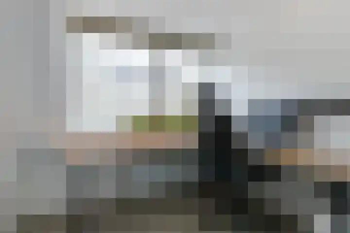 Ruigenburg 80 Gouda thumbnail 34