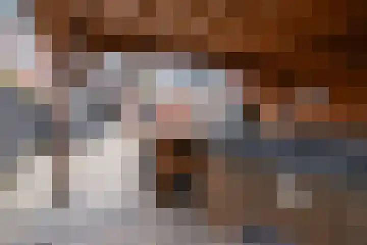 Ruigenburg 80 Gouda thumbnail 46
