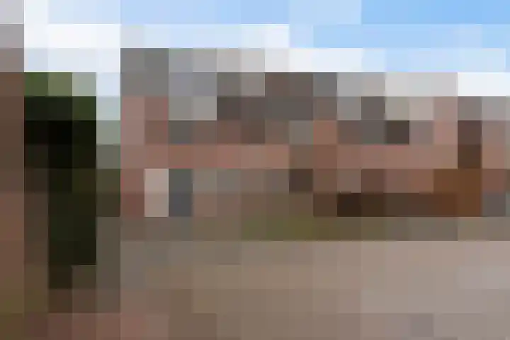 Ruigenburg 80 Gouda thumbnail 50
