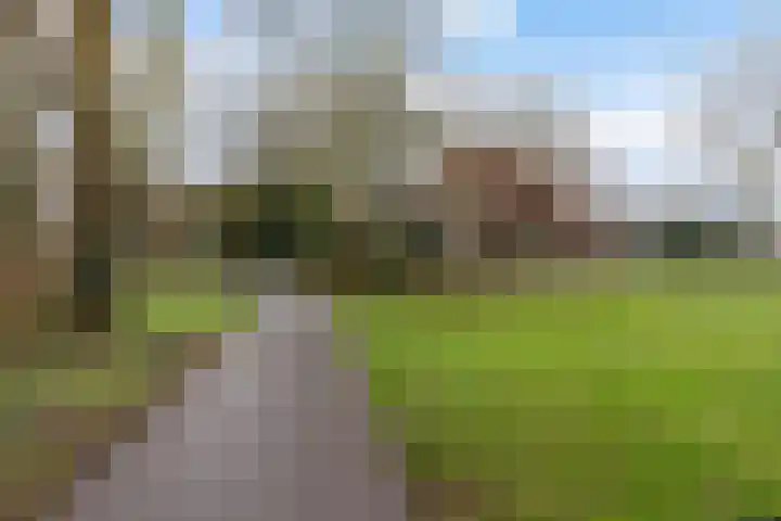 Ruigenburg 80 Gouda thumbnail 56