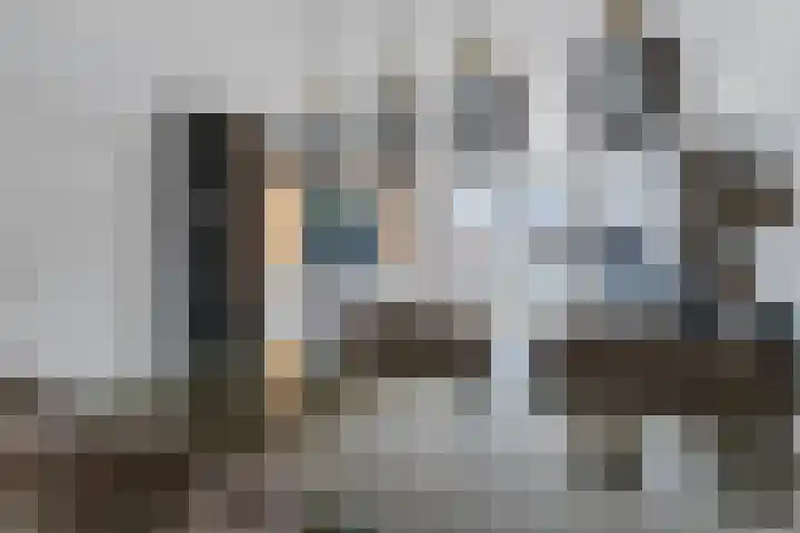 Ruigenburg 80 Gouda thumbnail 8