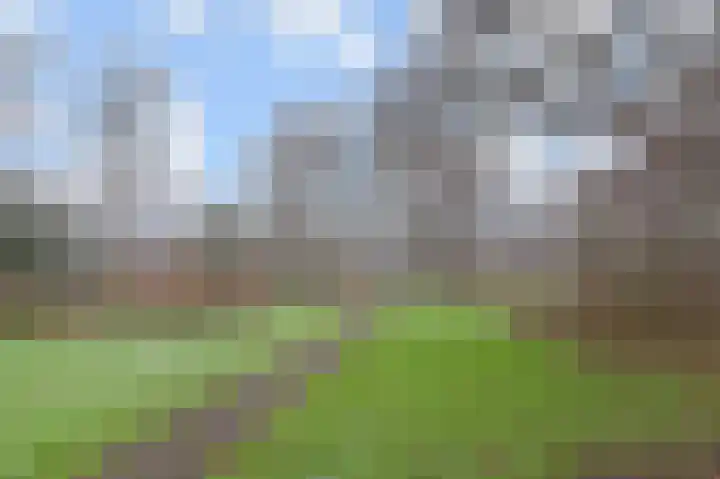 Ruigenburg 81 Gouda thumbnail 31