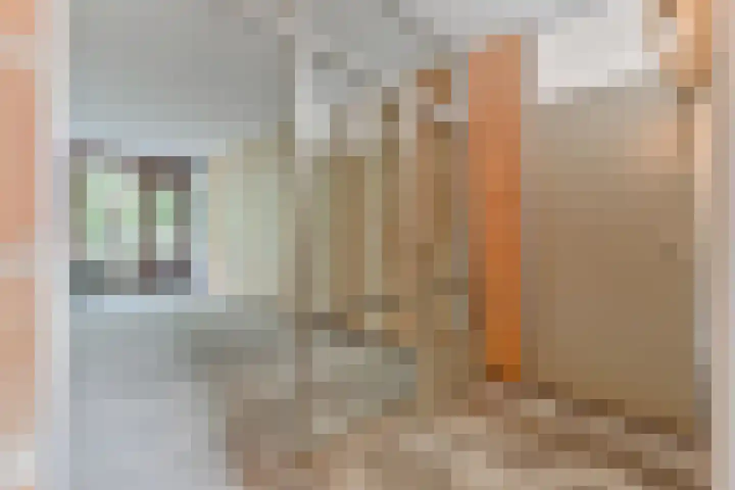 Ruigenburg 83 Gouda thumbnail 13