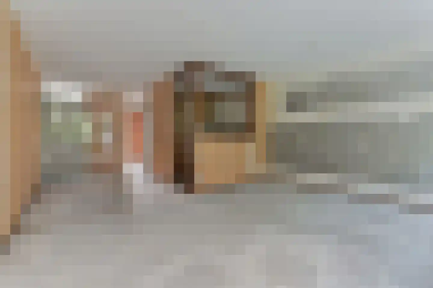 Ruigenburg 83 Gouda thumbnail 16