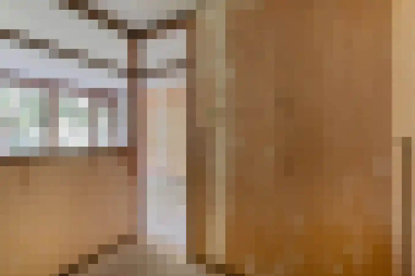 Ruigenburg 83 Gouda thumbnail 19