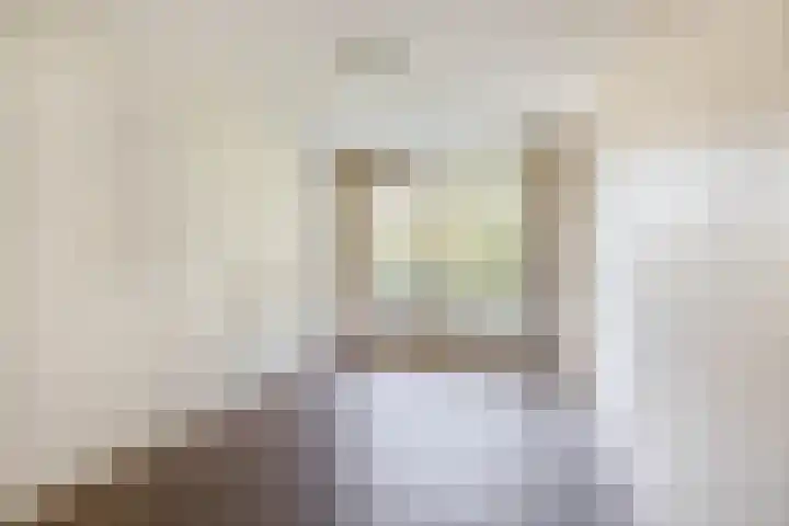 Ruigenburg 97 Gouda thumbnail 17