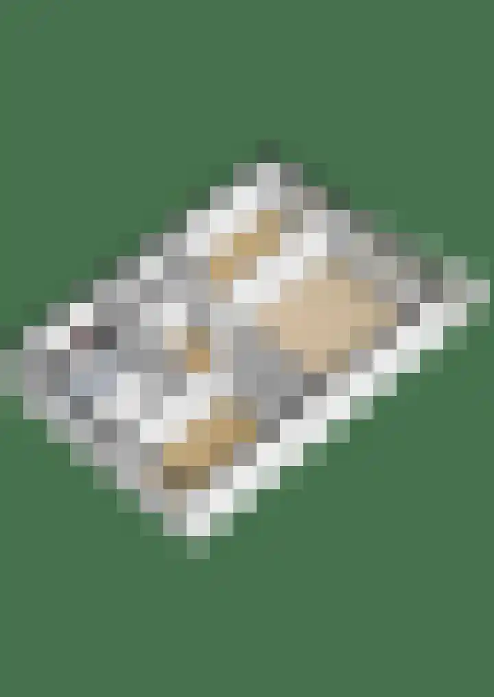 Ruigenburg 97 Gouda thumbnail 22