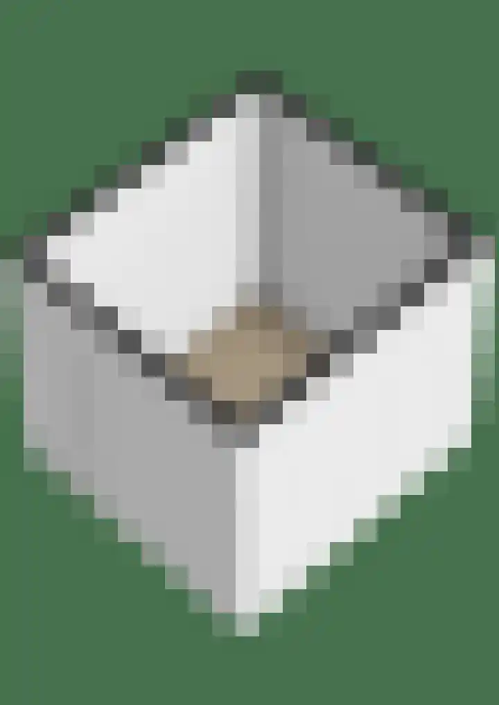 Ruigenburg 97 Gouda thumbnail 24