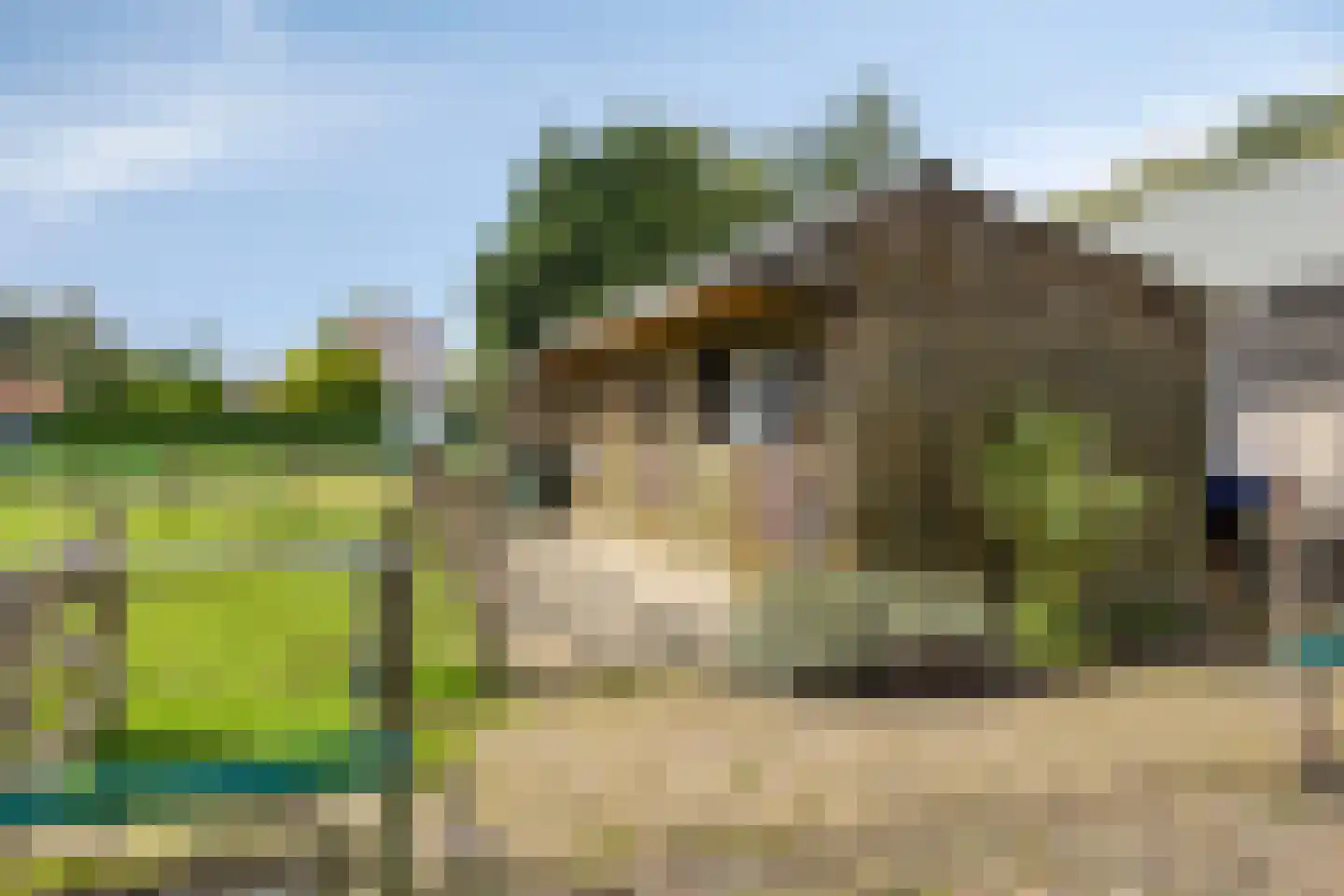 Ruigendijk 11 Oudenhoorn thumbnail 10