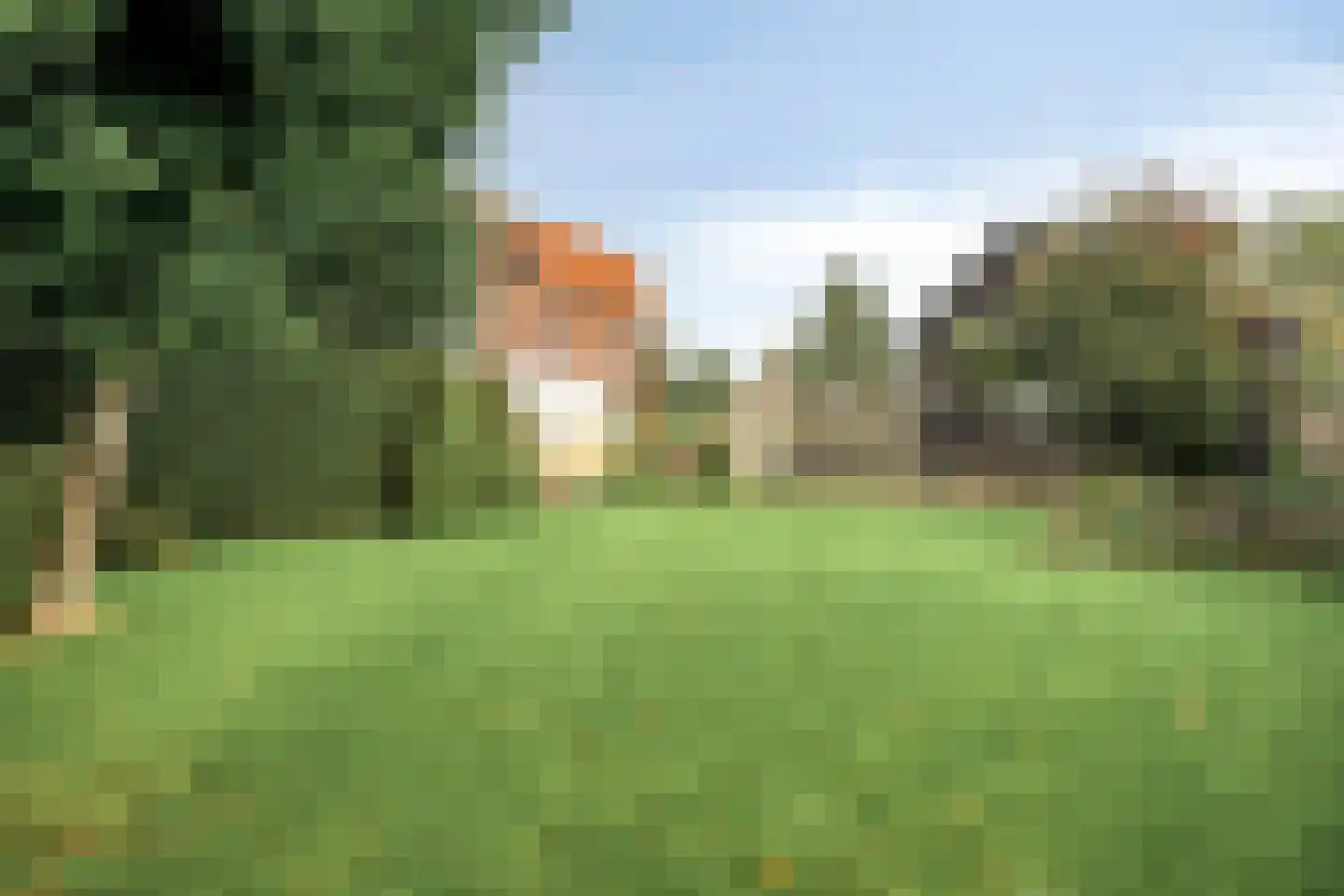 Ruigendijk 11 Oudenhoorn thumbnail 11