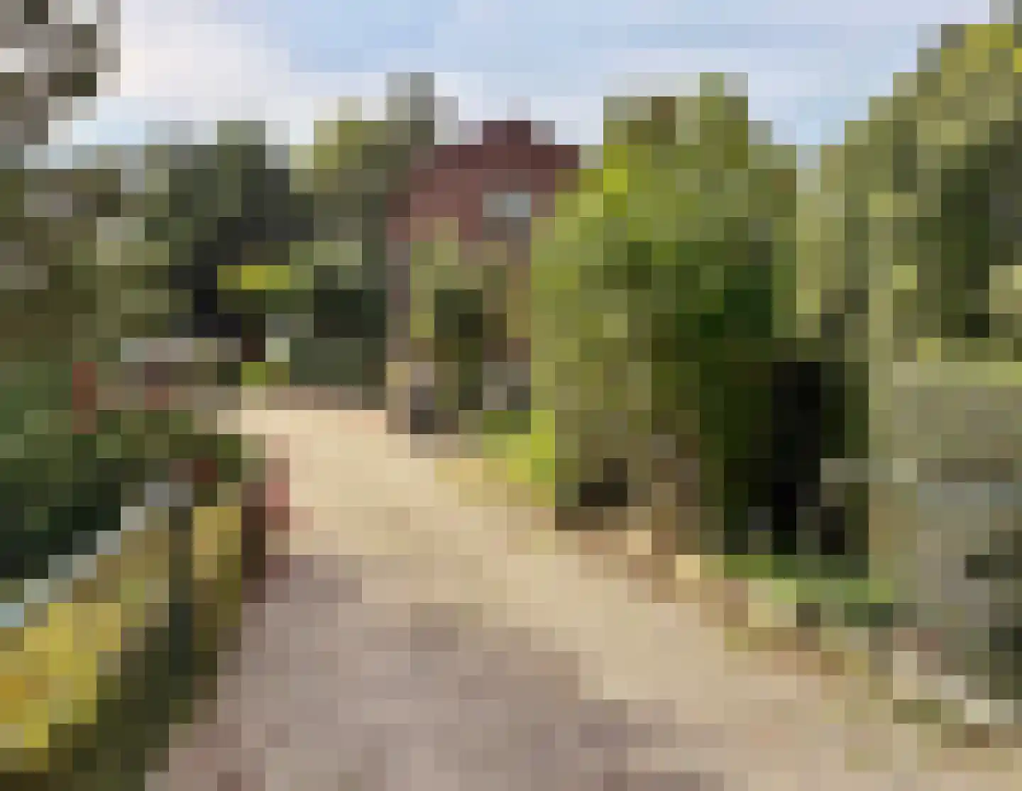 Ruigendijk 11 Oudenhoorn thumbnail 14