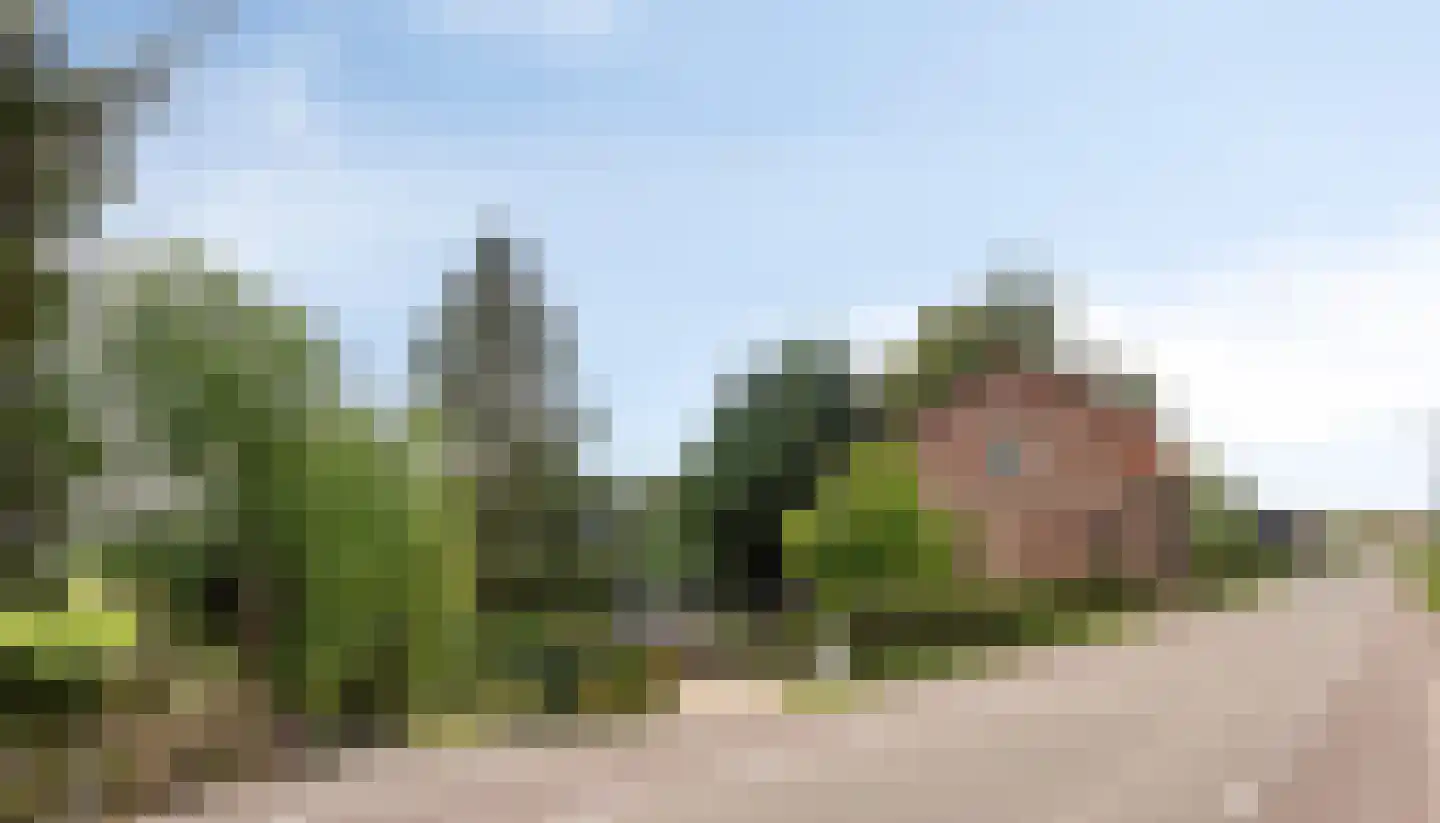 Ruigendijk 11 Oudenhoorn thumbnail 15