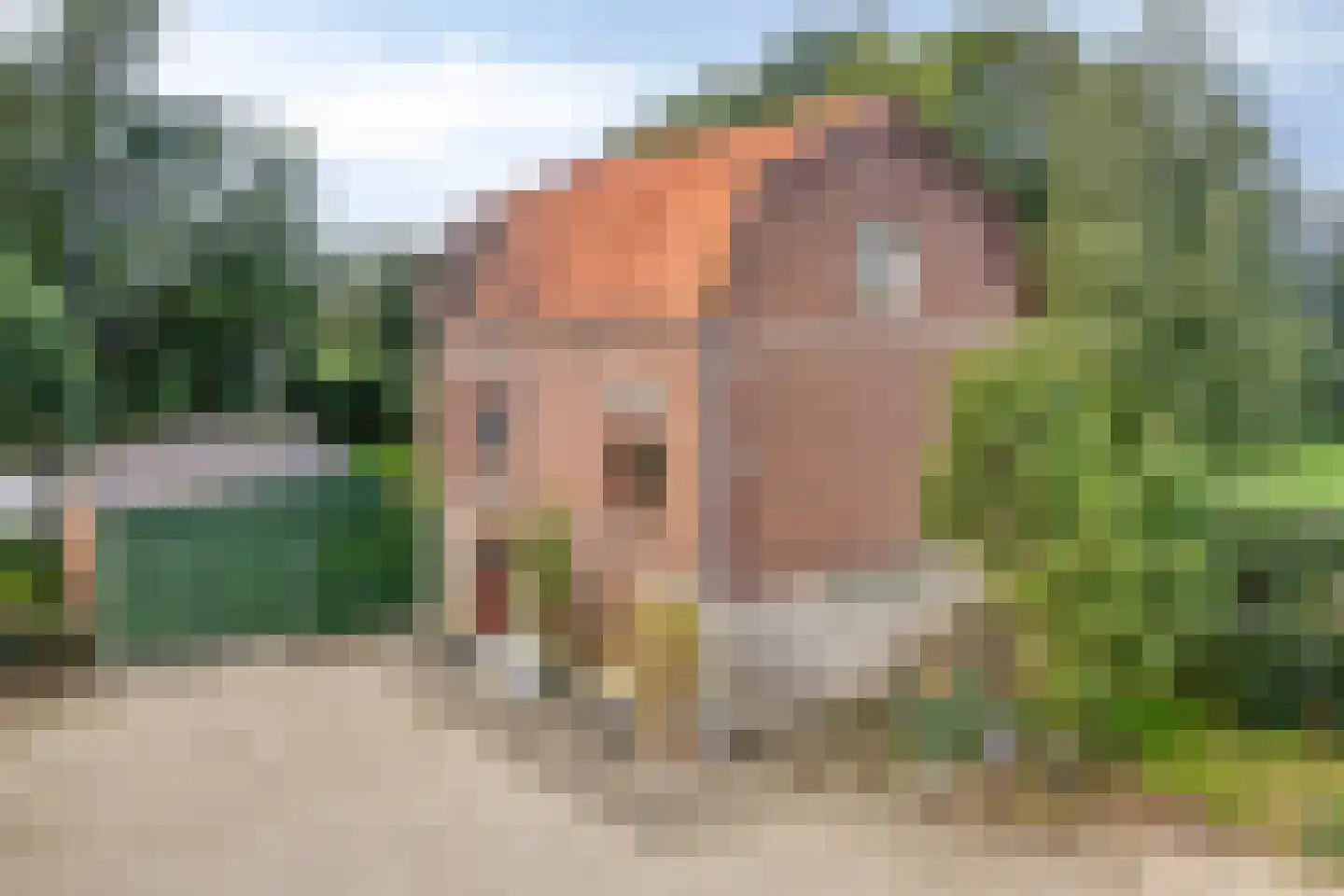 Ruigendijk 11 Oudenhoorn thumbnail 34
