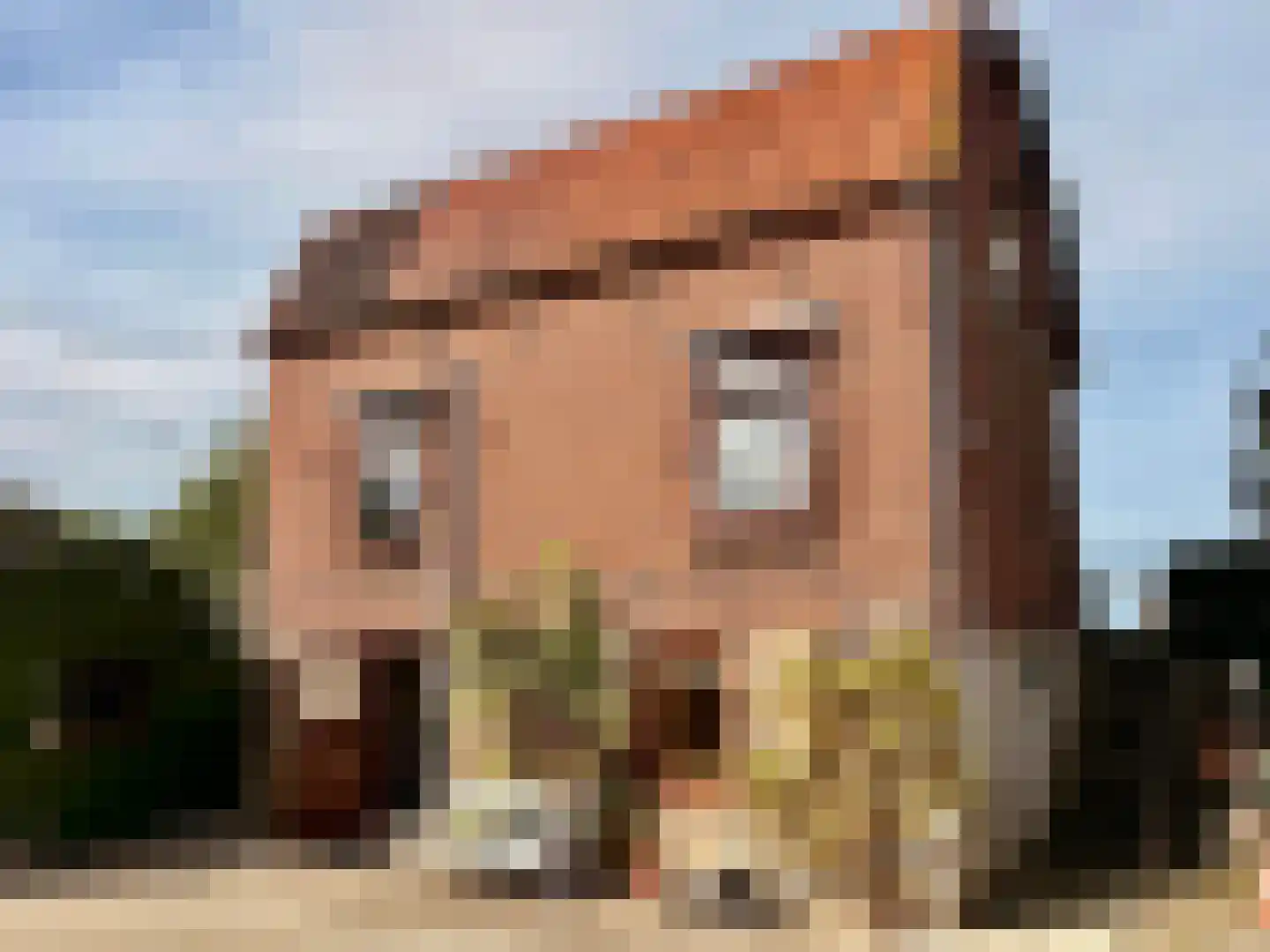 Ruigendijk 11 Oudenhoorn thumbnail 5