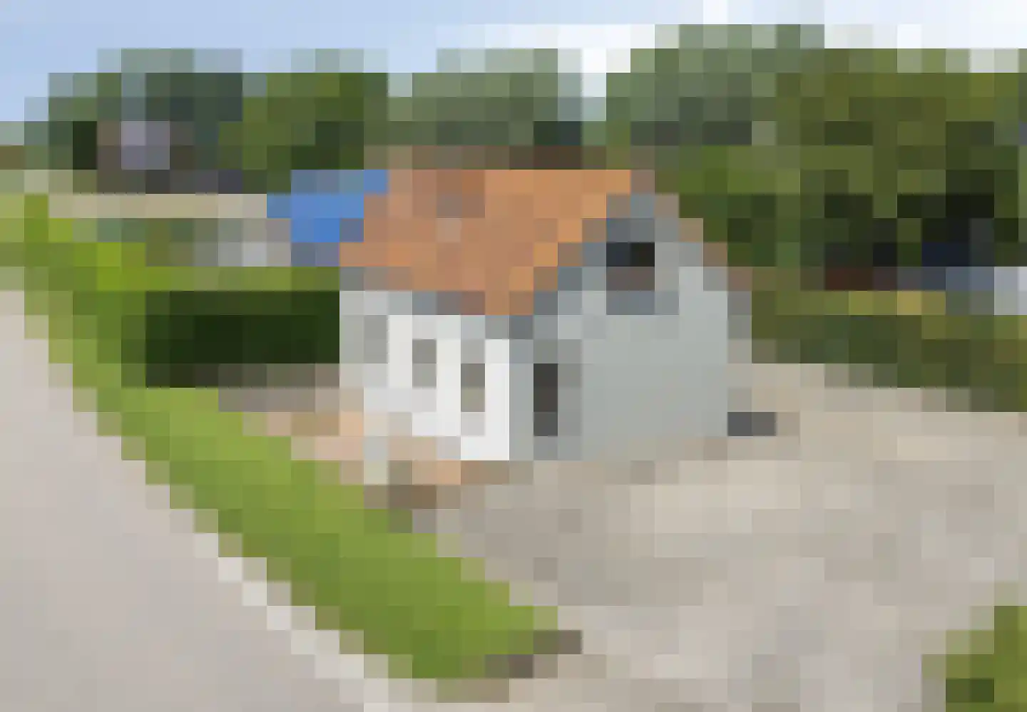Ruigendijk 15 Tinte