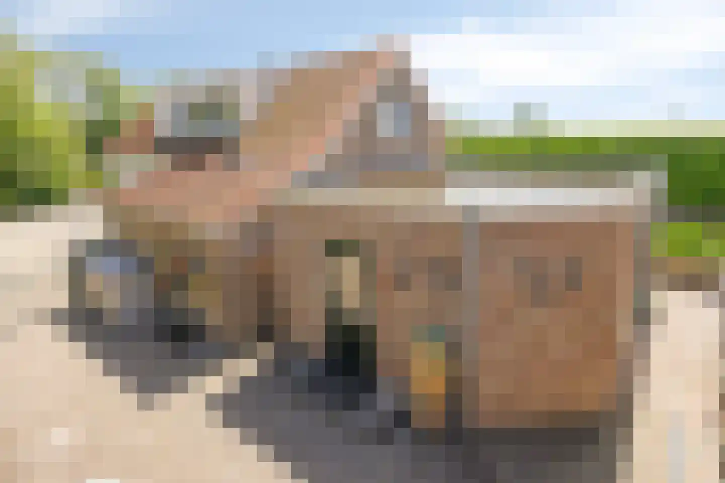 Ruigendijk 15 Tinte foto 3