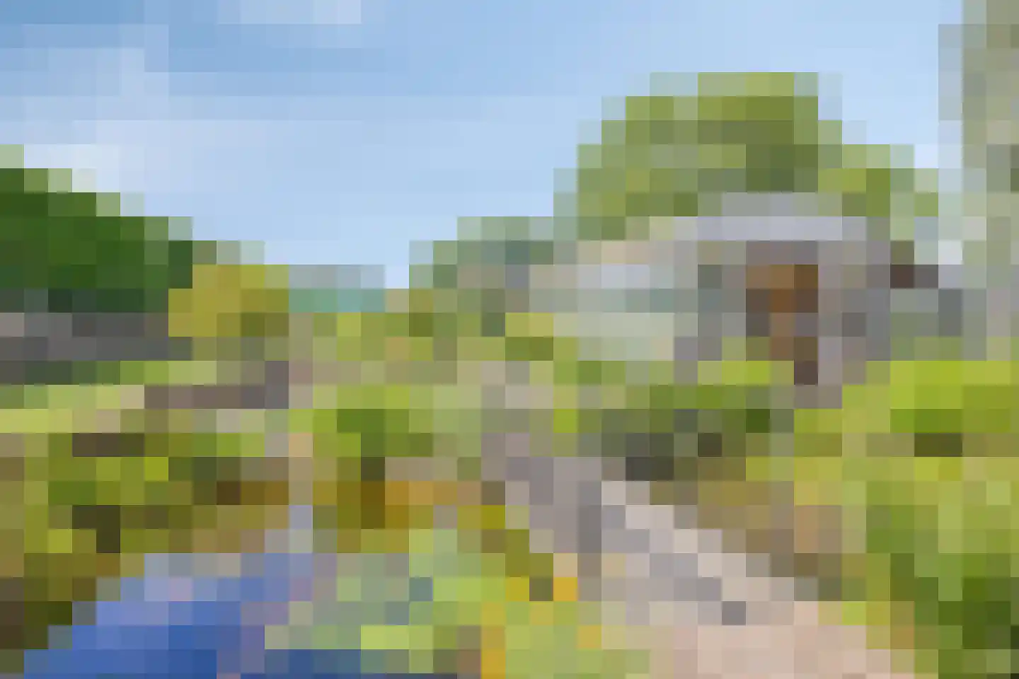 Ruigendijk 15 Tinte thumbnail 39