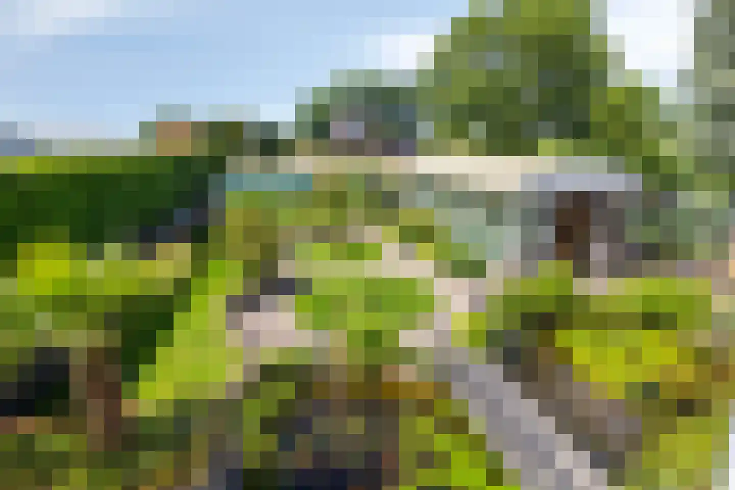 Ruigendijk 15 Tinte thumbnail 4