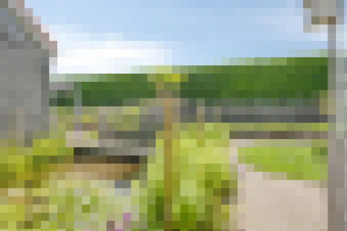 Ruigendijk 15 Tinte thumbnail 41