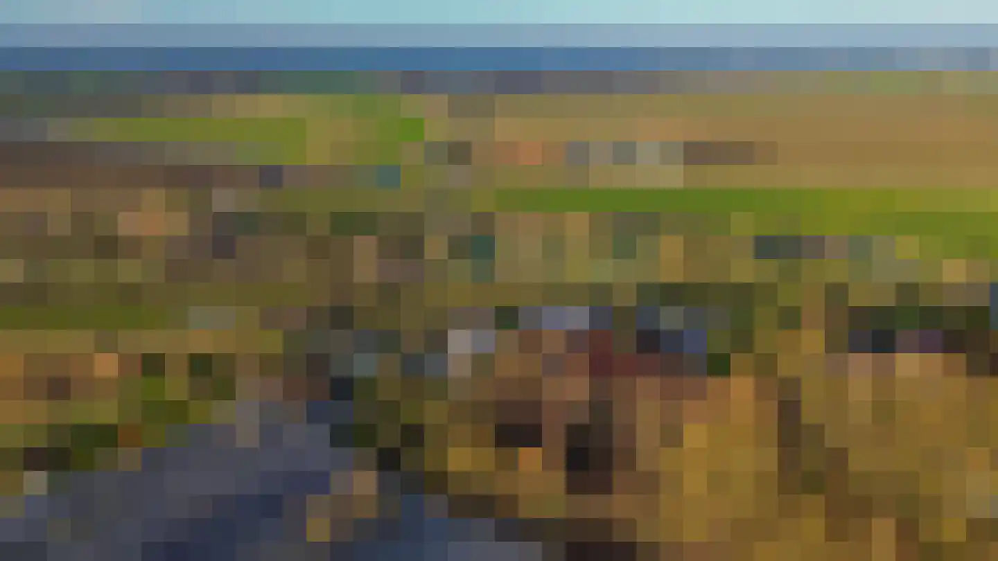 Ruigendijk 7 Oudenhoorn thumbnail 38